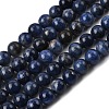 Natural Sodalite Beads Strands G-P582-6mm-02-2