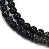 Dyed Natural Regalite/Imperial Jasper/Sea Sediment Jasper Beads Strands G-B124-C04-12-2