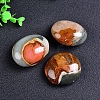 Natural Ocean Jasper Oval Palm Stone Reiki Polished Healing Pocket Worry Stone Crystal for Anxiety Stress Relief Therapy PW-WGFDB78-01-3