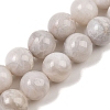 Round Natural Crazy Lace Agate Beaded Strands G-L374-01-12mm-2
