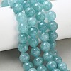 Dyed Natural Malaysia Jade Beads Strands G-G021-01D-08-5