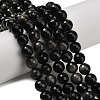 Natural Silver Obsidian Beads Strands G-C280-B08-10mm-1