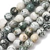Natural Tree Agate Beads Strands G-T150-A09-12mm-2