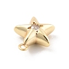 Brass Micro Pave Cubic Zirconia Pendants LS-KK-D283-14G-2