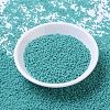 MIYUKI Round Rocailles Beads SEED-G007-RR0412-2