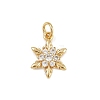 Brass Micro Pave Cubic Zirconia Charms KK-H077-02G-05-1