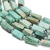 Natural Peruvian Turquoise(Jasper) Beads Strands G-NH0072-E04-01-4