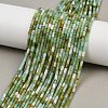 Natural Chrysoprase Beads Strands X-G-M389-22-1