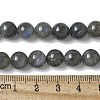 Natural Labradorite Beads Strands G-U017-8MM-01-5