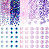Resin Cabochons Sets RESI-TA0003-57-1