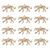 12Pcs Brass Charms KK-GO0002-28-1
