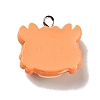 Opaque Resin Pendants RESI-G043-E04-B-3