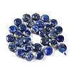 Natural Lapis Lazuli Beads Strands G-N342-16-3