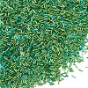 Transparent Bugle Beads Kits SEED-TA0001-57-3