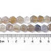 Natural Grey Agate Beads Strands G-K359-C11-01-5