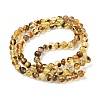 Natural Amber Beads Strands G-L095-B01-5mm-03-3