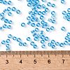 TOHO Round Seed Beads SEED-XTR08-0163-4