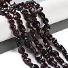 Natural Garnet Beads Strands G-P497-01C-40-2