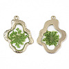 Epoxy Resin Pendants LS-X-RESI-T045-028B-3