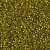 TOHO Round Seed Beads SEED-XTR11-0996FM-2