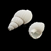 Natural Spiral Shell Beads BSHE-G038-06A-3