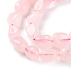 Natural Rose Quartz Beads Strands G-G146-A08-01-4