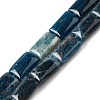 Natural Apatite Beads Strands G-Q026-B01-01-1