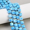 Natural Howlite Beads Strands G-C025-01B-6