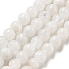 Round Grade A Natural Rainbow Moonstone Bead Strands G-M304-06-5mm-1