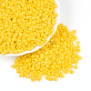 Baking Paint Glass Seed Beads SEED-N007-30F-1