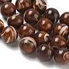 Natural Trochus Shell Beads Strands SH-CBAFEDD-02D-3