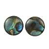 Flat Round Oval Natural Paua Shell Stud Earring for Women EJEW-JE07125-6