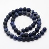 Natural Sodalite Beads Strands LS-G-D682-10mm-2