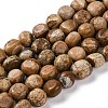 Natural Picture Jasper Beads Strands G-G146-A01-02-1