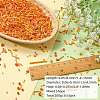 200G Electroplate Glass Seed Beads GLAA-SZ0002-17A-2