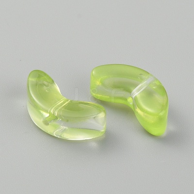 Transparent Handmade Lampwork Beads LAMP-CJC0012-01H-1