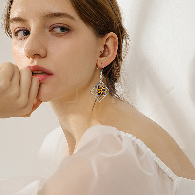 10Pairs 2 Styles Brass Dangle Earring Findings EJEW-GA00001-1