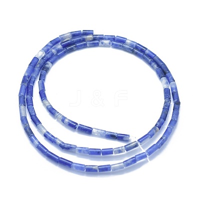 Natural Sodalite Beads Strands G-F631-B09-1