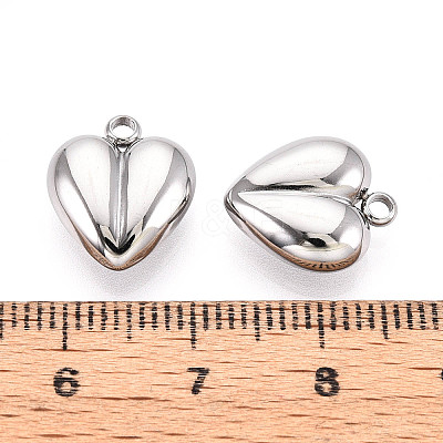 304 Stainless Steel Charms STAS-T065-80P-1