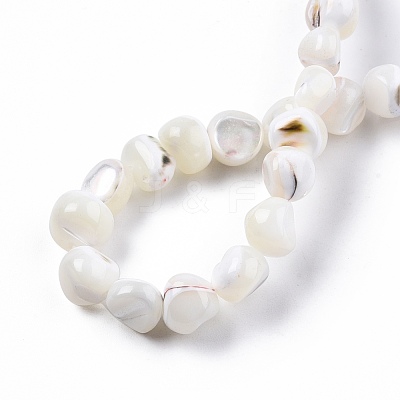 Natural Trochid Shell/Trochus Shell Beads Strands SSHEL-N032-48-1