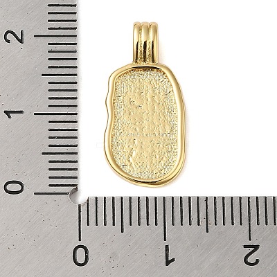 Rack Plating Brass Pendants KK-S372-06G-1