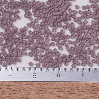 MIYUKI Delica Beads X-SEED-J020-DB0758-1
