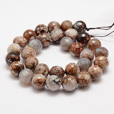 Faceted Natural Fire Crackle Agate Beads Strands G-F447-12mm-B14-1
