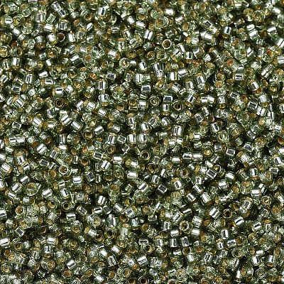 MIYUKI Delica Beads X-SEED-J020-DB2163-1