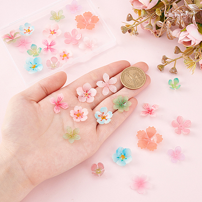 30Pcs 15 Styles Plastic Beads KY-GA0001-33-1