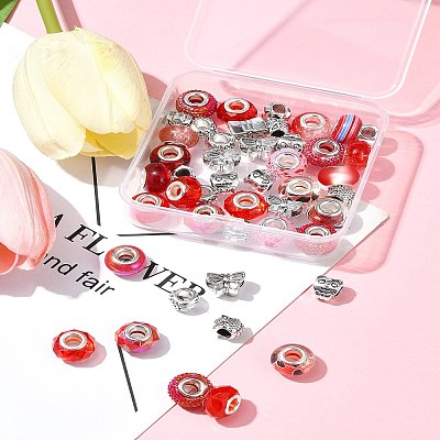 DIY Tibetan Style Alloy & Resin European Beads Making Finding Kits DIY-FS0006-78E-1