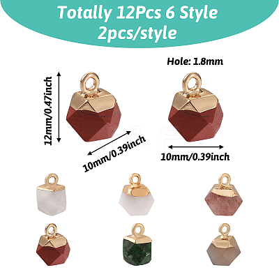 12Pcs 6 Style Natural Gemstone Charms G-FW0001-24-1