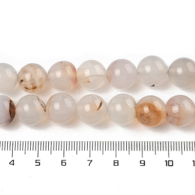 Natural Dendritic Agate Beads Strands G-A248-A07-02-1