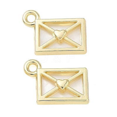Alloy Acrylic Pendants FIND-D044-23G-01-1