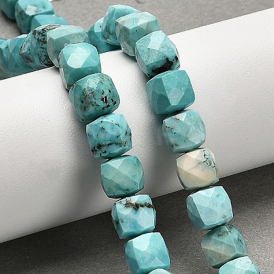 Dyed Natural Howlite Beads Strands G-H078-C28-01-1